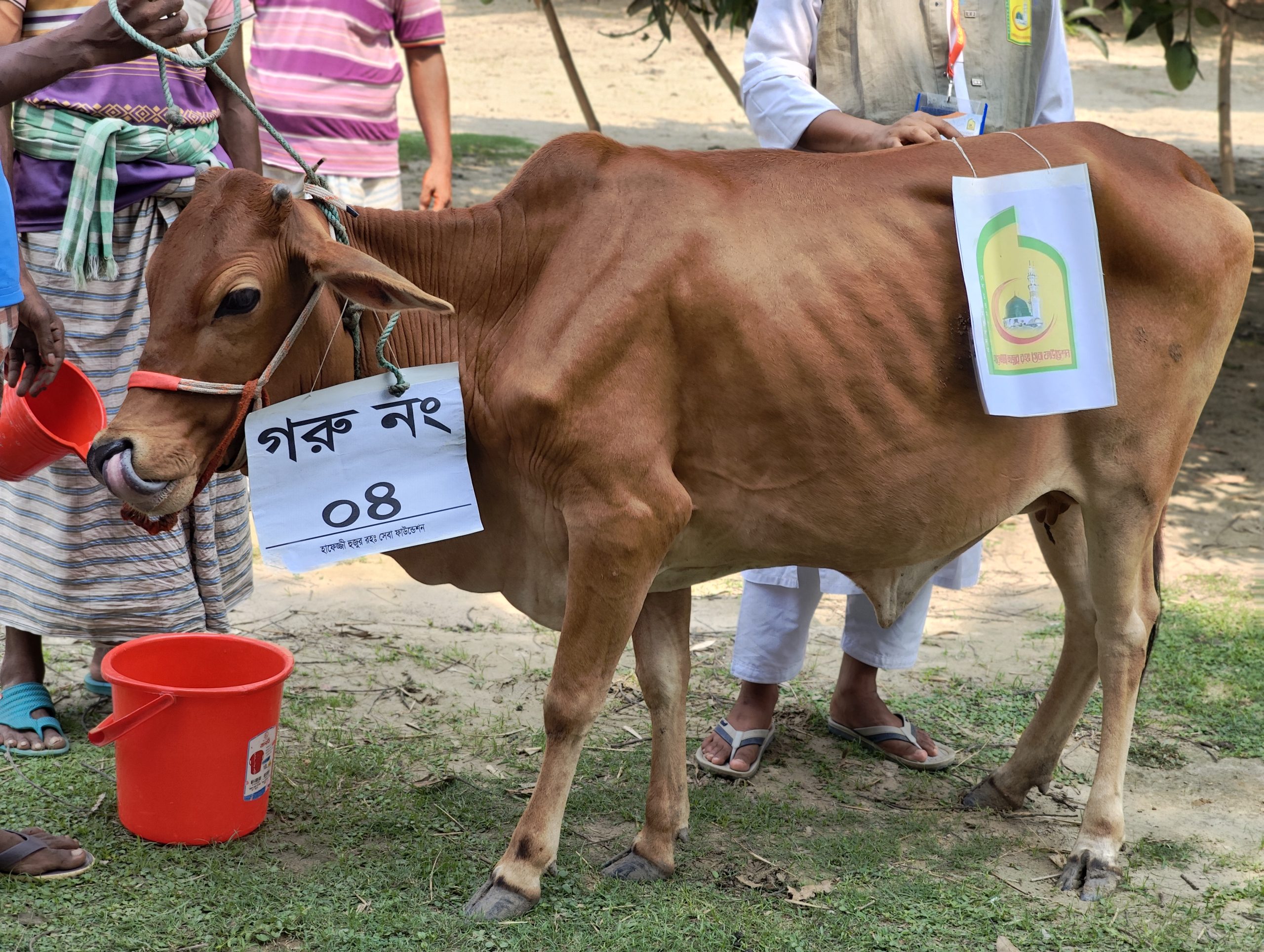 উম্মাহ্ কুরবানী প্রজেক্ট: ২০২৬ - Image 7