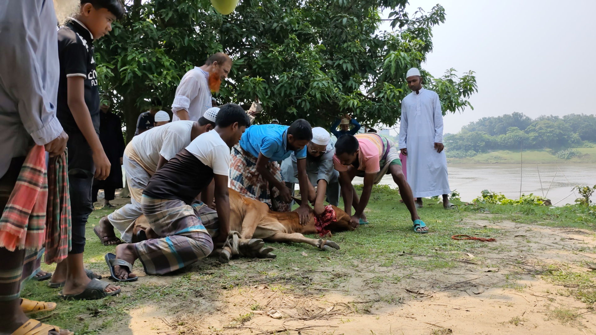 উম্মাহ্ কুরবানী প্রজেক্ট: ২০২৬ - Image 8